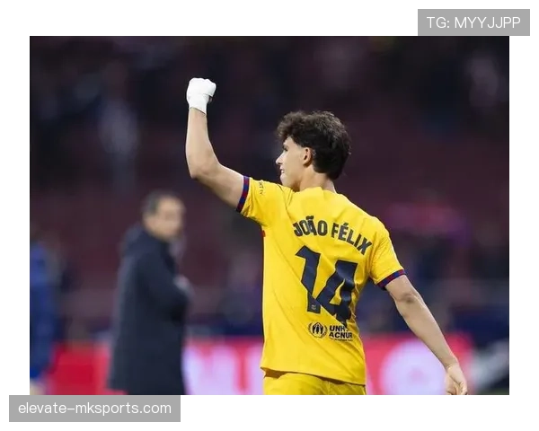 莱万多夫斯基继续为足球事业奋斗，面对未来新挑战的展望引发关注